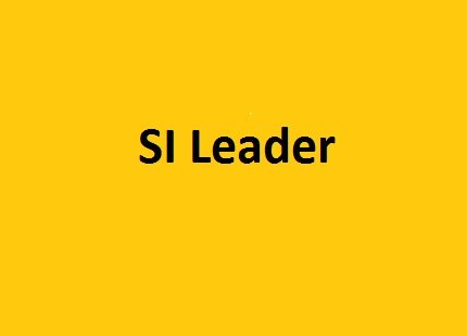 SI Leader Placeholder