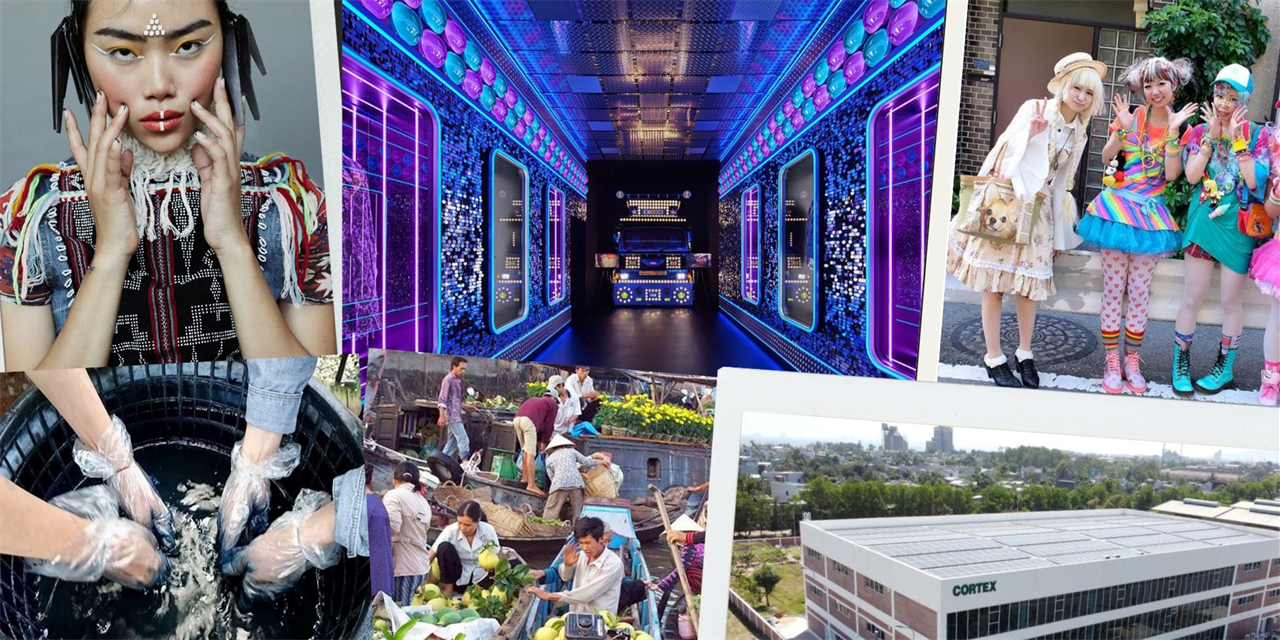 Tokyo/Vietnam Travel Tour Image 