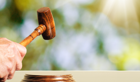 A gavel representing an auction 