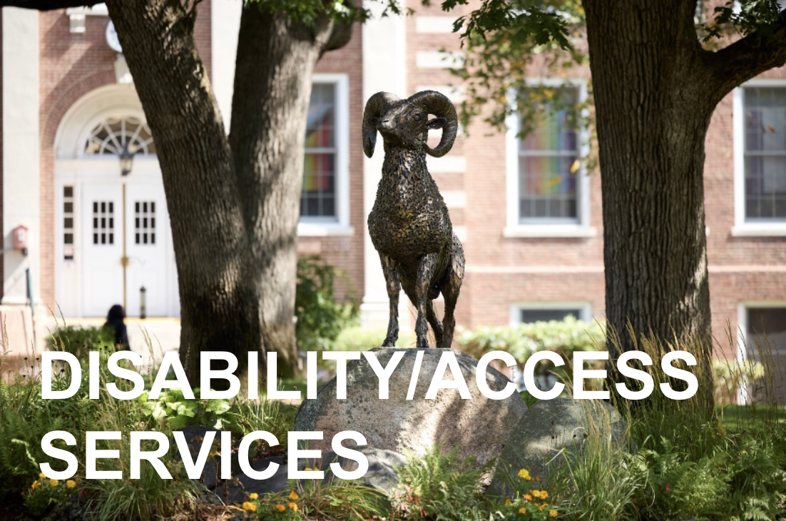 Disability/Access Services