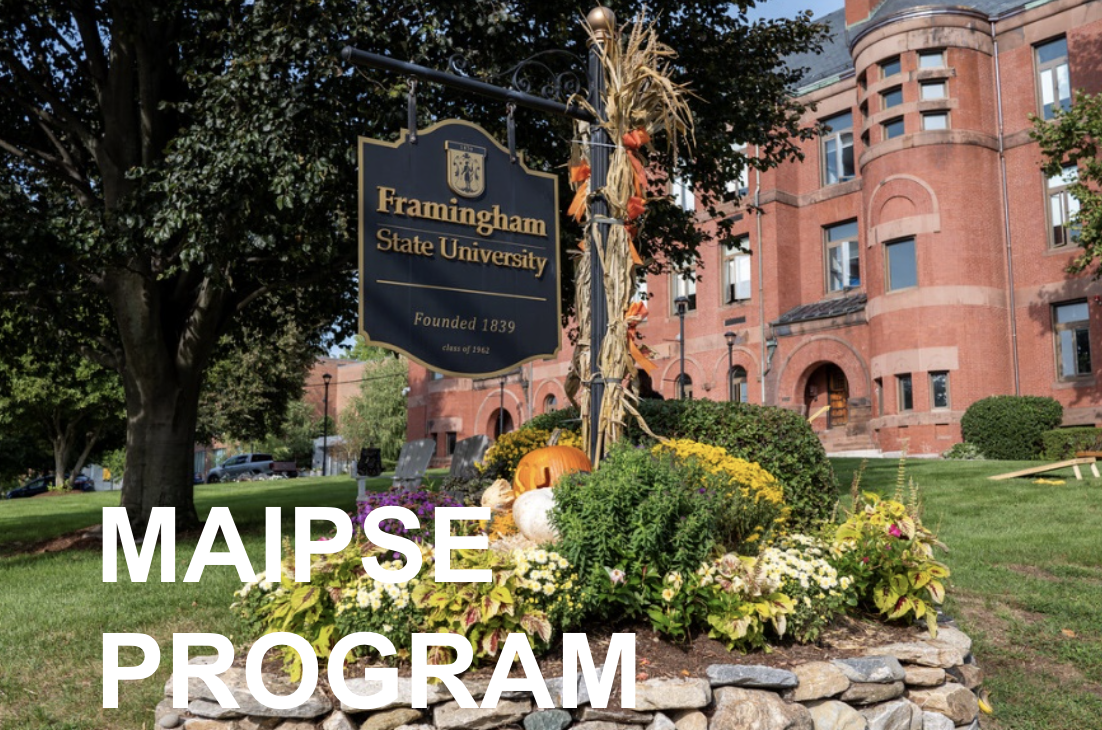 MAIPSE Program