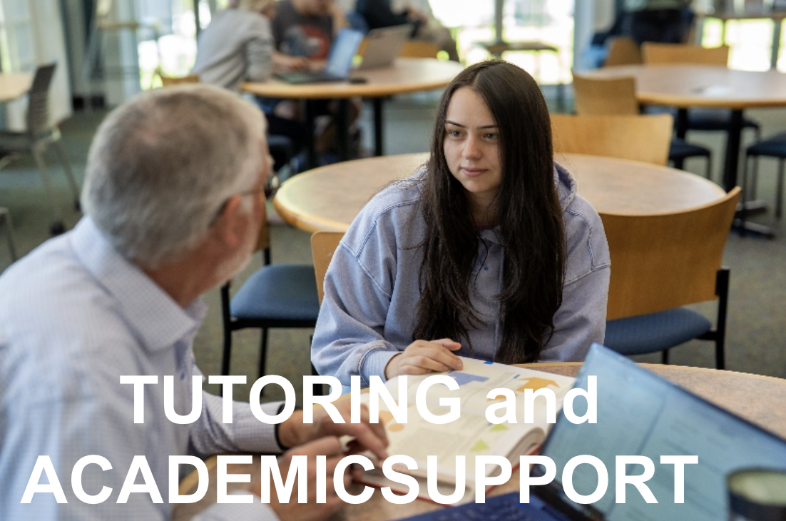 Tutoring and Academic Support
