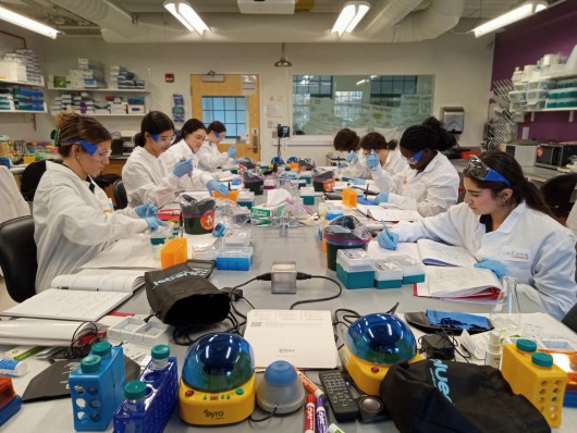FSU students in STEM 200 working in a lab at LabCentral