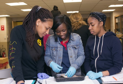 Science students in the lab