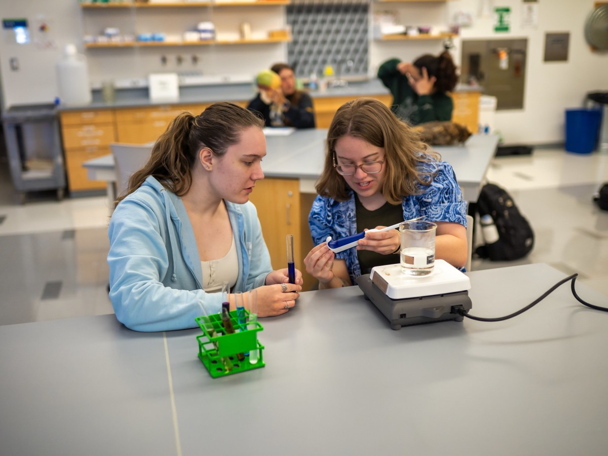 Students working in a Biology Lab