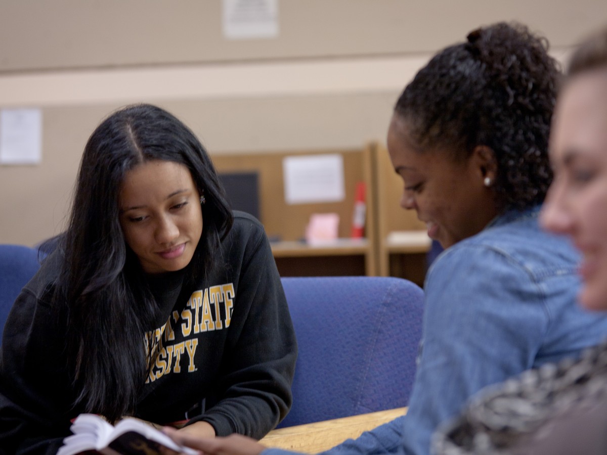 Diversity Studies Minor