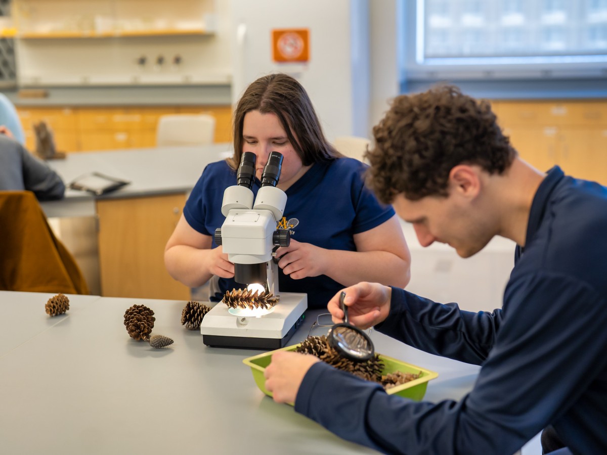 Post-Baccalaureate Teacher Licensure: Earth and Space Science 8–12