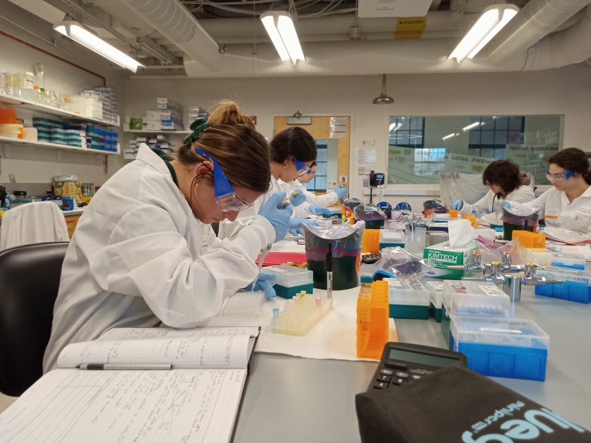 Post-Baccalaureate Teacher Licensure: Chemistry 8–12